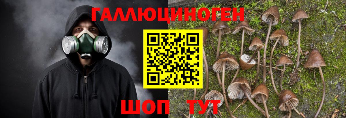Псилоцибиновые грибы мухоморы Каменск-Шахтинский